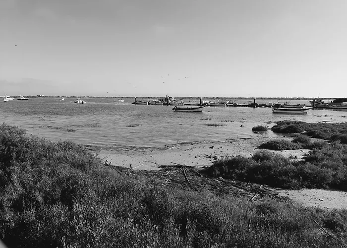 306, * Armacao da Abobora