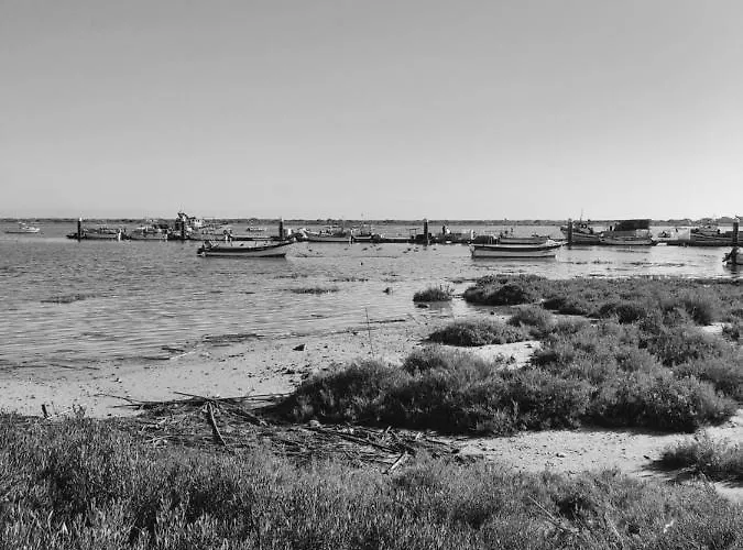 306, Daire Armacao da Abobora