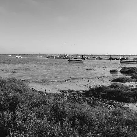 306, * Armacao da Abobora